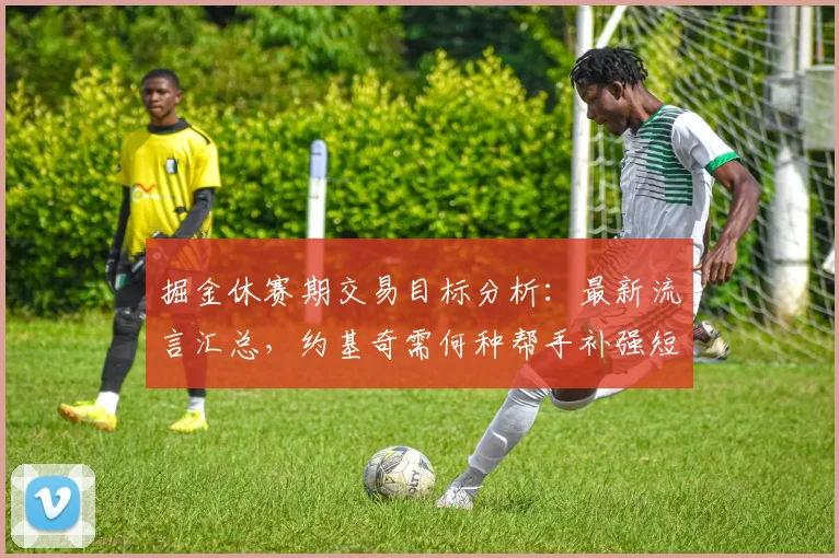 掘金休赛期交易目标分析：最新流言汇总，约基奇需何种帮手补强短板？